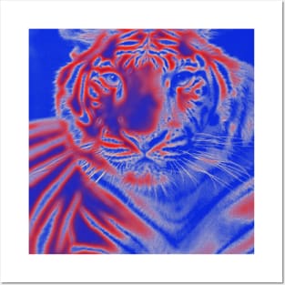 White Tiger from India - Red colour Posters and Art